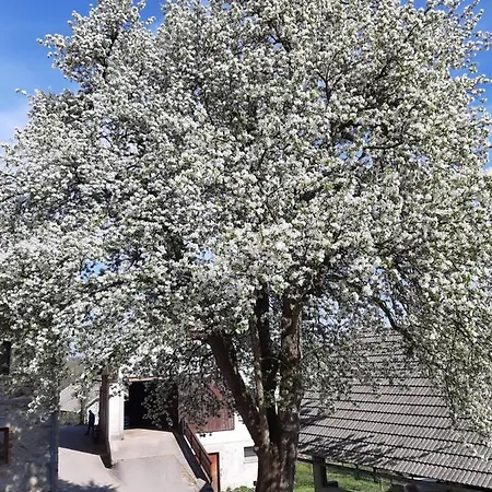 Apartamento Apartma Teloh *