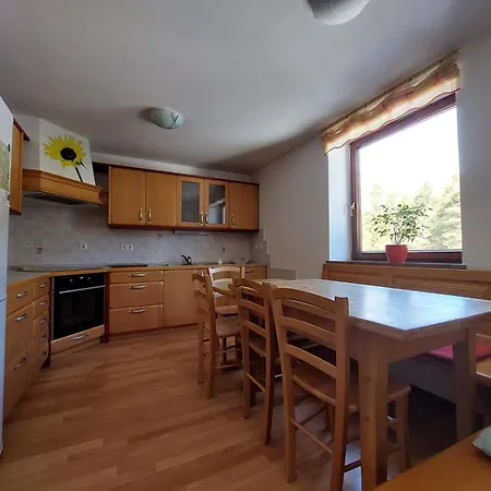 Apartma Teloh Apartamento Kopacnica