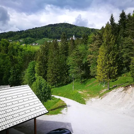 Apartma Teloh Kopacnica