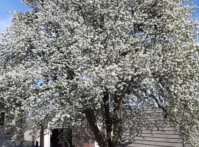 Appartement Apartma Teloh *